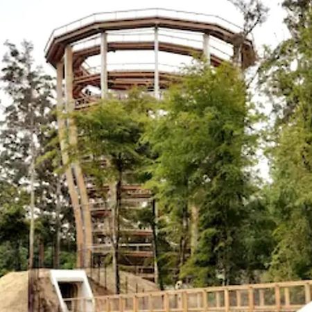 Meadowbrook Studio Rathdrum Zewnętrze zdjęcie
