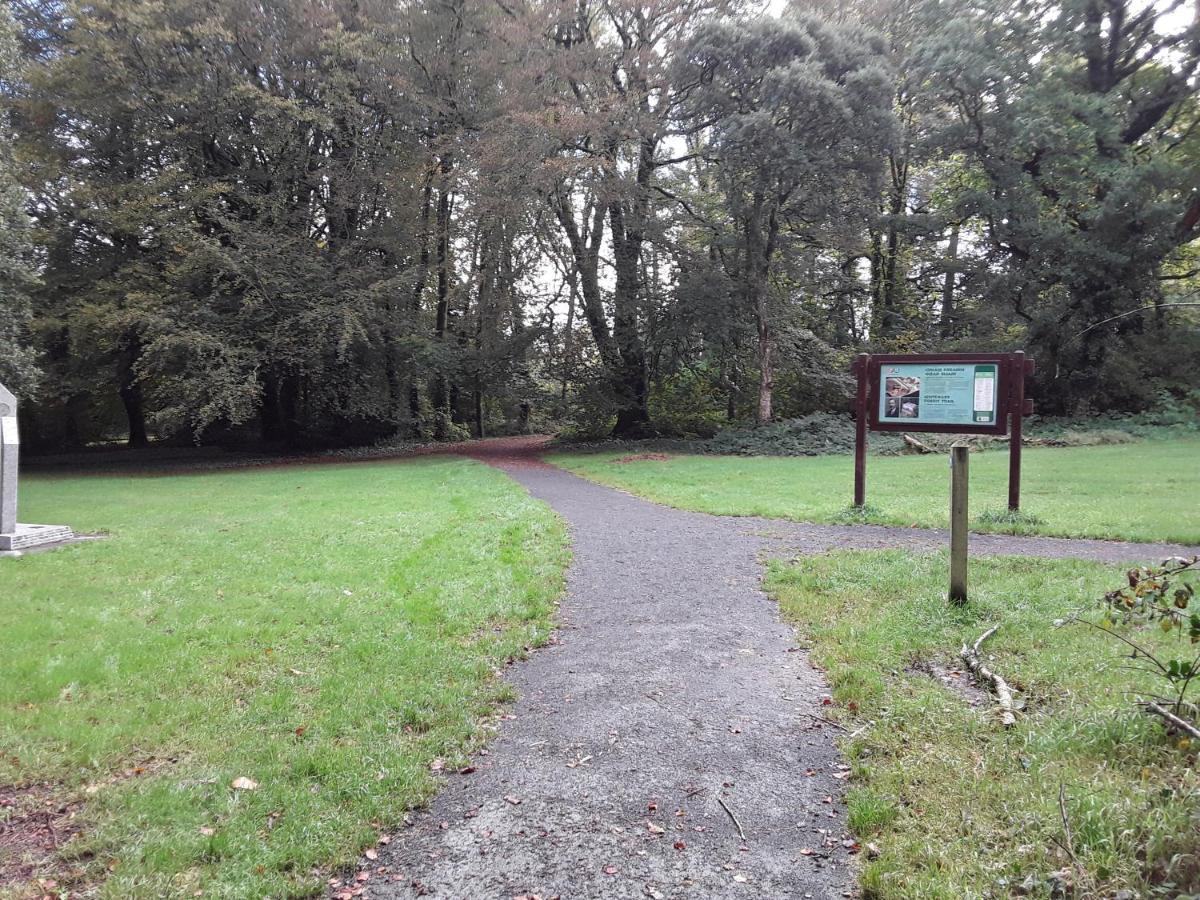 Meadowbrook Studio Rathdrum Zewnętrze zdjęcie