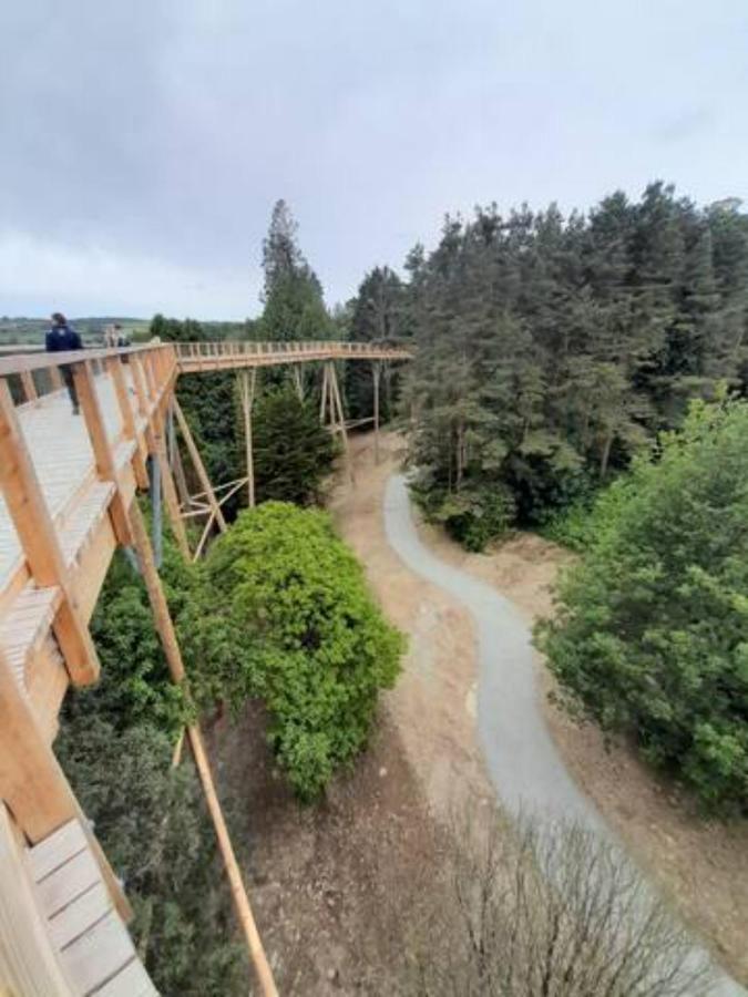 Meadowbrook Studio Rathdrum Zewnętrze zdjęcie